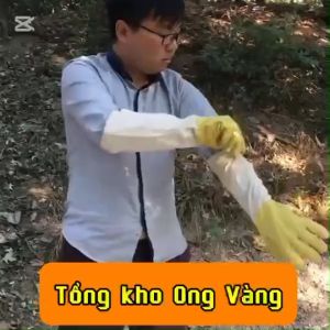 Găng tay thăm bắt Ong.Chống Ong đốt.