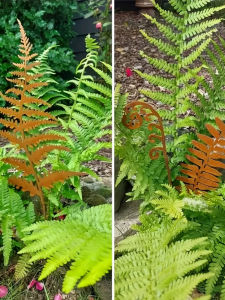 Bộ Ba Món Trang Trí Vườn Bằng Sắt Phong Cách Pháp Hình Lá Cây Hình Bóng Cây Lục Bình Trang Trí Sân Vườn Trang Trí Ngoài Trời