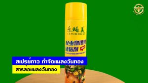 สเปรย์กาว กำจัดแมลงวันทอง ((มีหลายตัวเลือก))