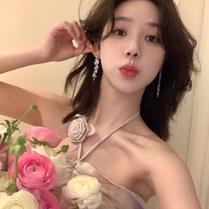 Exquisite French Luxurious Long Dangle Earrings Womens Unique Design Sensation Sparkling Zircon Tassel Ear Jewelry