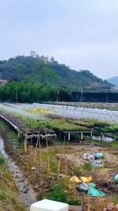 หัวฉีดรดต้นไม้ หัวฉีดรดน้ำ หัวพ่นทองเหลือง หัวสปริงเกอร์ หัวรดน้ำ ที่รดน้ำต้นไม้ หัวพ่นน้ำทองเหลือง รดน้ำต้นไม้ สปริงเกอร์ หัวพ่นน้ำ