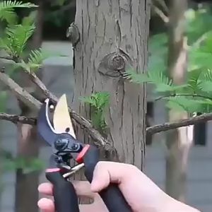 Kéo cắt tỉa cành cây KCTC.D01