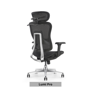 Cozylant Lumi Ergonomic Home Office Chair / Mesh Chair / Optional Leg Rest / Titable Backrest and Seat / Study Chair /Computer Chair / Gaming Chair