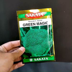 BENIH BROKOLI – GREEN MAGIC – 2000 BENIH