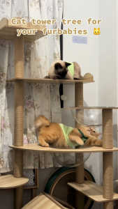 Cat Condo Mainan Rumah Kucing Cat Tower Premium Rumah Kucing Cat Rumah Villa Kandang Kucing Large