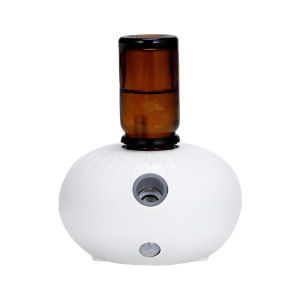 NIOYE | Auto Spray Scent Cold Mist Diffuser