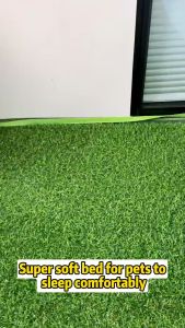 Washable Dog Bed & Anti-Anxiety Cat Bed: A Comprehensive Guide