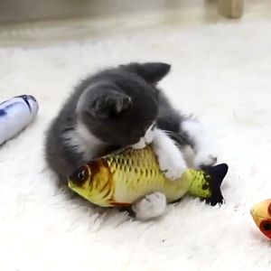 AP AIMAYAPET Cat Fish Toy Simulation Fish Teasing Kitten Toy Fish Teasing Cat Stick Interactive Simulation Fish Chewing Training Toy