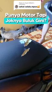 WISELIE SEMPROTAN PENGUSIR KUCING LIAR (FREE GIFT) 250ML Obat Anti Kucing Bandel Paling Ampuh Bahan Alami Tidak Mengandung Racun Aman Untuk Tumbuhan / Spray Cairan Anti Cat and Rat Repellent