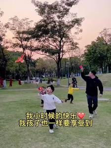 SHENWO | Children Mini Dynamic Easy-fly Kite