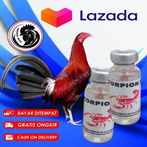 Doping Ayam petarung taji Import aduan menjadi GANAS