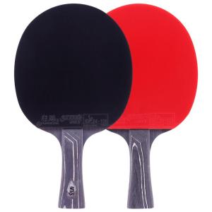DHS | Professional 6-Star Table Tennis Racket