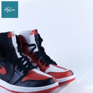 Cặp SNEAKER SHIELD Bảo Vệ Mũi Giày Chống Nhăn Nứt Gãy Loại Xịn