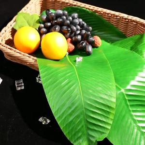 Pattaya ใบตองเทียม ใบตองปลอม แผ่นรองจานถ่ายภาพ ใบตองเทียมรองอาหาร green leaf decoration