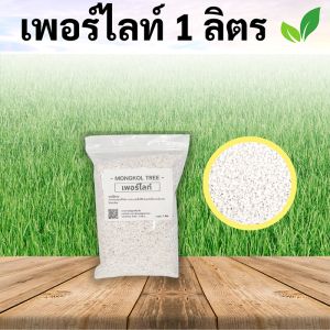 9 บาท Perlite เพอร์ไลท์ วัสดุปลูก ไม้มงคล ไม้ฟอกอากาศ ไม้ดอก แคคตัส ช่วยให้ดินโปร่ง อุ้มน้ำ และระบายอากาศ มีผู้ใช้งานเท่าที่สุด