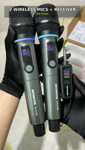 RAYHAYES RG-H16S Bluetooth Wireless Microphone with RGB Light Strip Professional Karaoke Mic