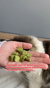 Cat Grass Stick - Snack Rumput Kucing - Cat Grass Premium Grass Wheatgrass dengan Daging Segar - Cemilan Beku untuk Hewan Peliharaan - Snack Kucing Campuran Catnip