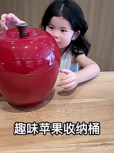 XIDIQI | Đồ Chơi Cắt Trái Cây và Rau Củ Có Thể Ăn Được