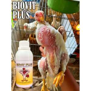 Vitamin Ayam Probiotik Cair BIOVIT PLUS Ayam Sehat Nafsu Makan Tinggi 1000ml.