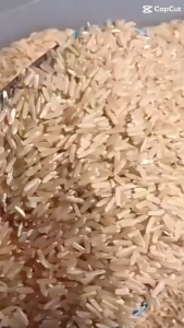 ข้าวกล้องหอมมะลิ หอม นุ่ม I ข้าวใหม่ฤดูล่าสุด I แพคระบบสุญญากาศ 1 กก.