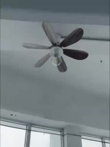 Ceiling Fan with LED Light and Remote Control Removable Bulb Fan Light 40W 3 Color E27 Lamp Fan Ceiling Fans Modern Design for Living Room Dining Bedroom Ceiling Fan Light