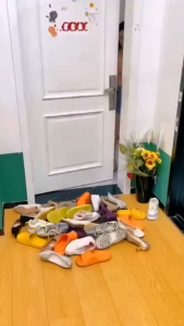 Kệ để giày dép 5 tầng C50 hình chữ X cao cấp dễ tháo lắp TTNTC50