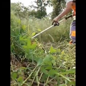 Gasoline Brush Cutter: Heavy Duty & Compact Grass Weeding Tools