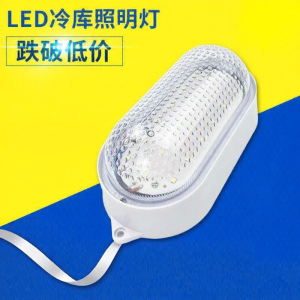 MEISITEKEKE | Cold-Resistant Waterproof Anti-Moisture Light