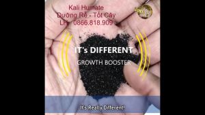 1 Kg Phân Bón Hữu Cơ Kali Humate Giàu Humic Và Fulvic Dưỡng Rễ Tốt Cây