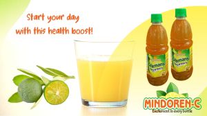 Calamansi Concentrate Pure Extract With Ginger & Honey Organic No Preservatives Citrus Essential Natural Source of Vitamin C Antioxidant Vitamin C Enzymes Multivitamins Anti-inflammatory Immunity for Kids Adults and Family Mindoren -C Alliswell Harvest