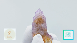 SG LOCAL - Authentic Spirit Quartz 南非精靈水晶