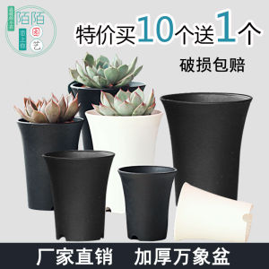 Old Succulent Plant Pot Plastic Thick round High Waist Cactus Yulu Vientiane Flowerpot Stew Special Offer
