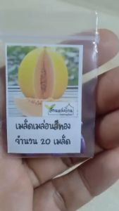 20 เมล็ด เมล่อนญี่ปุ่นสีทอง เมล็ดเมล่อนญี่ปุ่นสีทอง เมล็ดเมล่อนญี่ปุ่น เมล่อนญี่ปุ่น เมล็ดเมล่อน เมล่อน