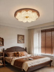 DGY | French Retro Style With Song Aesthetics Luxe Ceiling Light