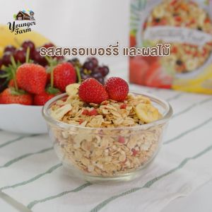 กราโนล่า ธัญพืชอบกรอบ รสช็อกโกแลต มอลต์ Younger farm ยังเกอร์ ฟาร์ม Chocolate malt 225 กรัม สูตรน้ำตาลน้อย แคลต่ำ Vegan อาหารเช้าสุดคลีน