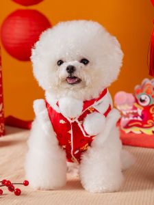 hipidog | Warm Celebratory Dog Vest for Small Dogs
