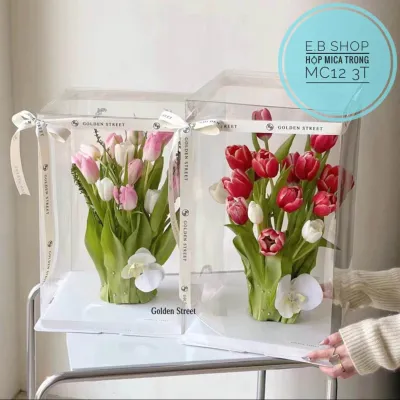 HỘP MICA TRONG CỠ LỚN CAO 60CM ĐỰNG BÁNH ĐỰNG HOA ĐỰNG QUÀ