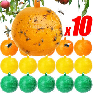 Dizoey 10PCS Ball Fruit Fly Catcher Pest Control Sticky Traps 8cm Wasp Bee Insect Trap Gnat Traps For Indoor Outdoor Kitchen Plants