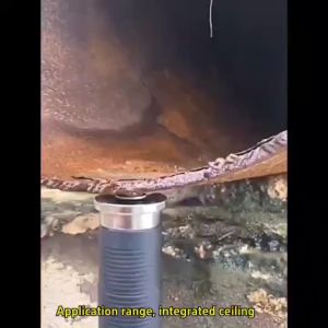 Free 20 pcs Nails: Cordless Manual Steel Nail Gun Rivet Gun Tool Nail Punch Gun Concrete Wall Fastening