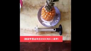 Pengupas Nanas / Pengupas Buah Nanas / Pemotong Nanas Stainless Steel Pineapple Peeler