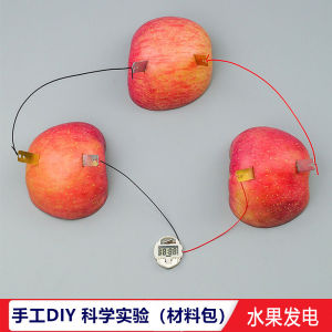 ชุดวัสดุการทดลองวิทยาศาสตร์ผลไม้ไฟฟ้า Zn Cu แผ่นวิทยาศาสตร์การศึกษาในห้องเรียนสำหรับนักเรียนชั้นประถมศึกษาและมัธยมต้น