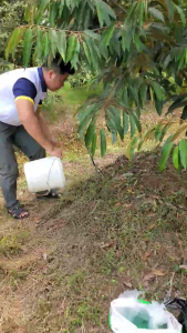 (Combo 5 bao) Phân bón At-Rooting Combi Vi Lượng - Nông nghiệp Việt Nam - Chứa Mn - Fe - Mg - Zn - Mg - Bón cho cây ăn trái - Dinh dưỡng cho cây trồng