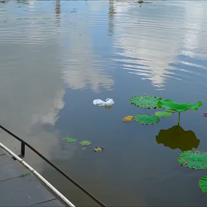 ☄จัดส่งทันที☄คลิปงู1.5m แหนบ พับสเนกแคลมป์จับ ม้จับงูยาว ที่จับงูพับเก็บได้ คีมหนีบงู อุปกรณ์ที่หนีบงูและปลา ไม้จับงู