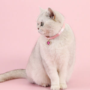 Cat Pearl Necklace Gemstone Pendant Outgoing High Aesthetic Collar Anti-strangulation Neck Decoration Pet Supplies