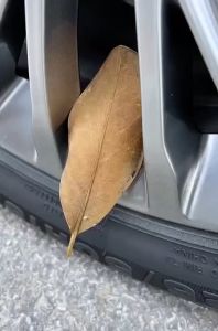 BỘ 4 NẮP CHỤP VAN Ô TÔ THEO HÃNG XE CHẤT LIỆU INOX CHỐNG HAN RỈ - TẶNG KÈM CỜ LÊ VÀ MÓC KHÓA TIỆN LỢI