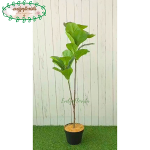 Pohon Artificial Pohon Hias Daun Ketapang X2 T100 Latex Pot Dasar Hitam Plastik Dekorasi Rumah Hiasan Ruang Tamu Aesthetic