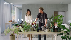 Electrolux Well Q7P Self-Standing Cordless Vacuum Cleaner WQ71-2BSWF Penyedut Habuk