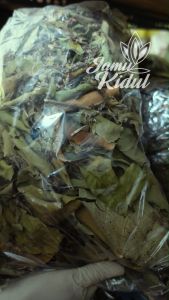 Daun Benalu Kering Liar Bersih & Organik