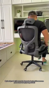 Hakimi Office chair ergonomic desk chair 3D adaptive lumbar support gaming computer chair lumbar support chair