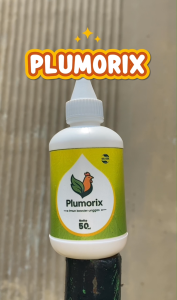 PLUMORIX Imun Booster Unggas Obat Ayam Ngorok Flu Aratan Cekrek Original